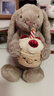 Jellycat害羞生日米色邦尼兔动物毛绒玩偶安抚娃娃送礼生日礼物 害羞生日米色邦尼兔 Medium 实拍图
