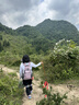 李宁（LI-NING）护膝半月板运动关节髌骨固定带男女跑步登山羽毛球膝盖护具夏季薄 实拍图