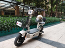 驰小虎电动自行车 吉祥虎新国标电动车电动自行车48V12Ah铅酸电池长续航电瓶车成人代步车电车白色 实拍图
