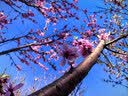 卡贝防撞门吸地吸免打孔防风地吸门阻器门挡器隐形卫生间门顶轻音门碰 实拍图