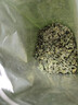 福茗源花草茶 桑叶茶 花茶叶精选特级品质霜后桑葚叶炒制新鲜桑叶250g 实拍图