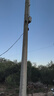 霸天安4G 太阳能室外监控AI摄像头 终身免流量无电无网免插电手机远程 监控器360度无死角带夜视全景高清 实拍图
