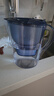 碧然德（BRITA）家用净水壶 滤水壶滤芯 MAXTRA+LE 去水垢专家滤芯 6枚装 实拍图