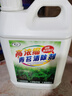 Lvbai青苔清除剂水泥地面专用青苔克星墙面苔藓藻类清洁2.6KG 实拍图