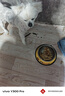 HELLOJOY猫碗不锈钢狗狗猫咪食盆猫咪宠物用品水粮碗防滑打不翻狗盆狗碗 实拍图