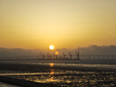纯耕红黑枸杞原浆组合1.2L节日礼品盒宁夏头茬宁夏红黑枸杞汁液送礼物 实拍图