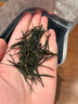 陈一凡 恩施玉露 2026新茶恩施非遗蒸青绿茶茶叶春茶明前自饮袋装250g 实拍图