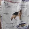 皇家狗粮 成犬狗粮 犬粮 宠物大型犬 GR26全价犬粮≥15月15KG 实拍图