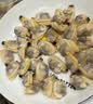 优牧冠无沙花蛤肉 净重500g/袋 新鲜活剥 冷冻蛤蜊肉 1500g 实拍图
