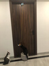 皇佳宠猫玩具猫咪电动悠悠球智能挂门自动升降逗猫棒自嗨解闷猫咪玩具 实拍图