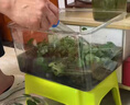 贝初众鱼缸家用小型鱼缸方形塑料缸仿玻璃一体生态桌面缸客厅金鱼斗鱼缸 特大号-40*30*23【超清8K高透/摔不碎】 高透pet仿玻璃材质 裸缸 打不破 摔不碎 久用不糊 实拍图