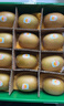 佳沛（zespri）新西兰 金果12粒特大果单果124-146g 端午节礼物水果礼盒 猕猴桃 实拍图