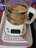 小熊（Bear）养生壶 1.5L煮茶壶烧水壶 可拆卸茶篮 煮茶器电水壶 恒温电热水壶 保温花茶壶 YSH-E15W7  实拍图