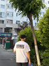 巴塔哥尼亚（Patagonia）男女情侣款通勤P-6 Logo混纺棉休闲潮流户外透气短袖T恤 38504 WHI（实物白里透蓝） S 164/175(CM)  60/69(KG) 实拍图