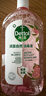 滴露（Dettol）香氛自然衣物消毒液1L*4  留香48H洗衣除汗臭 儿童玩具杀菌消毒水 实拍图