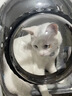 licheers猫包外出大号宠物背包便携太空舱猫笼狗袋双肩透气大容量猫咪书包 实拍图