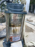 臣源潜水泵220V家用水井水抽水泵不锈钢农用小型污水泵灌溉浇菜高扬程 550W/1寸不锈钢清水泵【10米线+10米水带】 实拍图