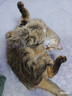 多特思猫零食小轻松猫草猫条50支0肉粉0诱食剂排毛化毛成幼猫条软罐头 实拍图