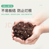 史丹利硬质珍珠岩颗粒蛭石土壤多肉兰花专用养花通用大保温营养土5L 实拍图