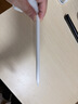Apple/苹果 Pencil Pro 磁吸触控笔手写笔苹果笔电容笔书写绘画iPad笔 适用于iPad Pro/Air/mini机型 实拍图
