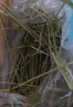 喜帅 精品烘干提摩西草500g 提草荷兰猪龙猫兔子磨牙牧草兔粮 实拍图