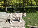 公牛（BULL）分控插座/插线板/插排/排插/接线板/宿舍家用桌面拖线板  3C认证  4位分控全长3米 独立开关 实拍图