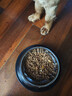 HELLOJOY猫碗不锈钢狗狗猫咪食盆猫咪宠物用品水粮碗防滑打不翻狗盆狗碗 实拍图