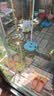 aolalbom奥莱邦充电式抽水泵小型农用灌溉电动抽水机锂电池浇菜神器浇水机 G18双电池+10米出水管 实拍图