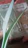 户外运动鞋垫艾草除臭抗菌软底鞋垫吸汗透气按摩踩屎感男女通用 XD01鞋垫3双【颜色随机】 41~42码（可裁剪） 实拍图