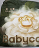 babycare金山茶花拉拉裤XL34片(12-17kg)婴儿尿不湿超薄透气新生柔花苞裤 实拍图