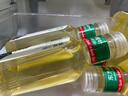 农夫山泉东方树叶绿茶500ml*15瓶无糖茶饮料0糖0脂0卡整箱装饮品 实拍图