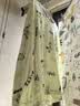 红豆儿童睡衣男女童春夏薄款纯棉家居服套装长袖裤空调服J3129绿色130 实拍图