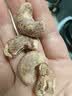 三只松鼠A180罐装紫皮腰果500g越南大颗粒每日坚果炒货零食端午团购送礼 实拍图