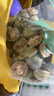贡苑 花果茶 特级冻干青金桔干260g大份量高VC冷泡水喝的即食花草茶叶 实拍图