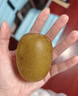 佳沛（zespri）新西兰阳光金奇异果16粒礼盒经典果单果 88-103g  猕猴桃水果礼盒 实拍图