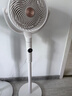 美的（Midea）【净化驱蚊】空气循环扇直流变频新款大风力家用落地扇3D摇头桌面电风扇卧室轻音一级能效GDJ24DXS 实拍图
