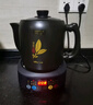 小熊（Bear）【价保618】煎药壶 中药锅 中药煎药壶 熬药壶全自动 熬药电砂锅 4L大容量JYH-S40D1 二煎 实拍图