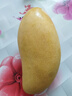 译优农正宗海南芒果三亚金煌芒新鲜热带水果当季水仙特大甜心芒特产送礼 9斤果王【单果500g+】净重8.5斤+ 实拍图