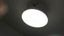 雷士（NVC） 风扇灯吊扇灯 LED现代简约变频餐厅卧室客厅遥控高显色静音吊扇 星空智控60W/全光谱/1级能效 实拍图