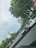 杜邦汽车雨刮器雨刷片无骨丰田12-17款7代凯美瑞/221-23款皇冠陆放 实拍图