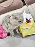 醇粹FD猫粮 成猫幼猫粮添加纯鸡肉冻干鲜肉营养英短美短全价CFD1-5kg 实拍图