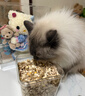 WEYES冻干4拼混合肉碎桶500g宠物猫狗零食冻干鸡肉鸡胸肉鸭肉粒营养 实拍图