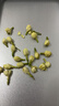 贡苑广西原产茉莉花苞【防碎铁罐125克】三伏特级茉莉 茉莉花干茶叶 实拍图