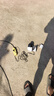 奥克斯高清室外摄像头防水手机远程无线wifi监控器360度无死角云台旋转无死角4g网络全景语音对话户外 实拍图