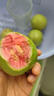 奶油白心红心芭乐 新鲜软糯低卡低热量轻食首先水果 广东双拼芭乐3斤净重2.7斤（红心2粒+白心3-4粒） 实拍图