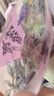 三只松鼠梅有芒果100g青梅芒果干果脯无核酸甜可口蜜饯梅子酸甜儿童零食 实拍图