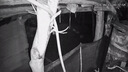 奥克斯4g太阳能摄像头室外无电无网终身免费流量免插电手机远程高清监控器家用户外360度无死角全景夜视 实拍图