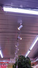 雷士（NVC） LED导轨射灯高亮背景墙展厅服装店照明COB明装吸顶轨道灯天花灯 白色-15W暖白光-需自购三线导轨 实拍图