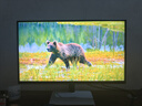 KTC 27英寸4K黑曜屏 3A原画QD-MiniLED HDR1400 2304分区160Hz双模320Hz Type-C 65W电竞显示器M27P6S 实拍图