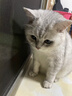 麦富迪猫粮 超肉粒冻干双拼成猫粮美毛护肠三文鱼10kg/20斤【宠物金选】 实拍图